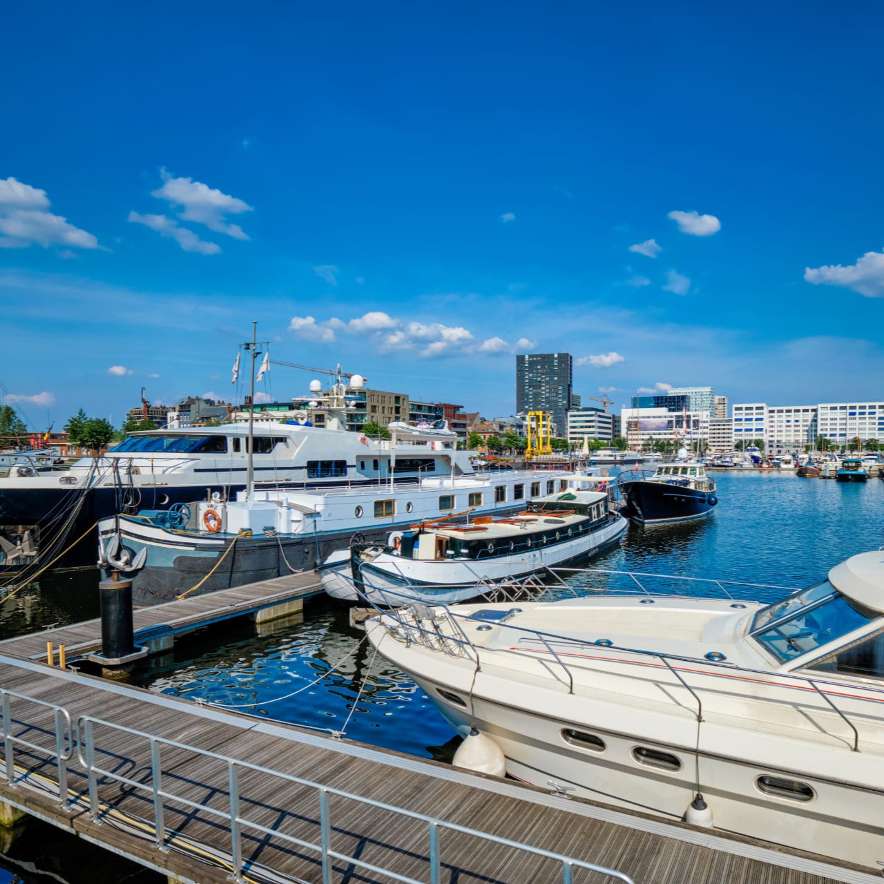 Image hover effect image