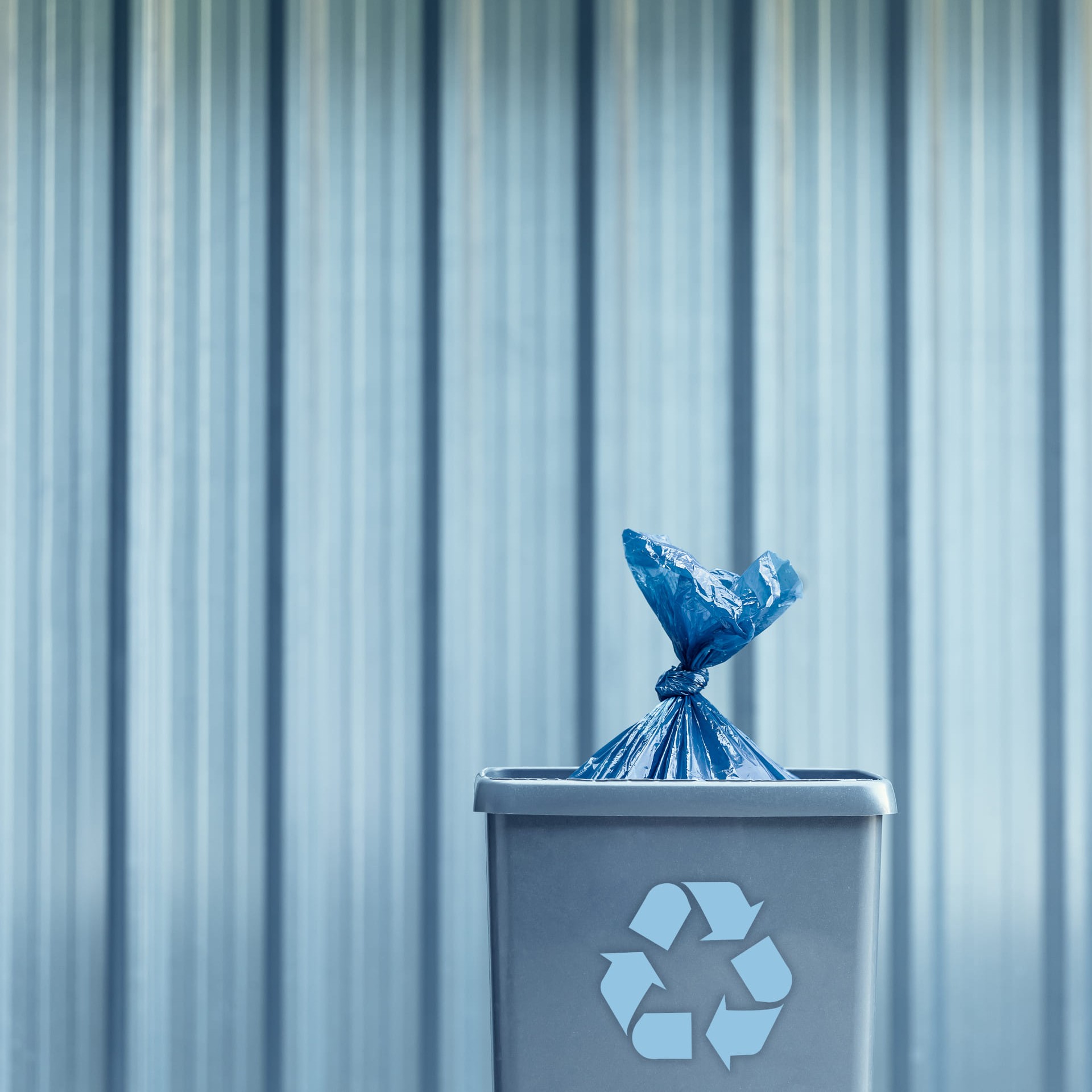 Image hover effect image