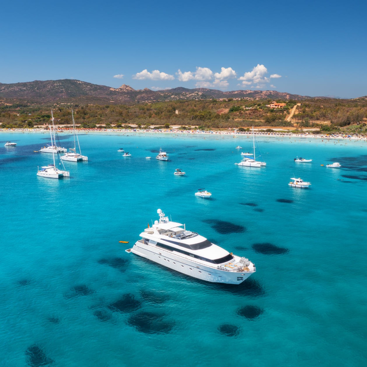 Image hover effect image